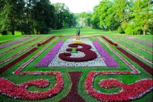 Цветочный сад Цветочный сад